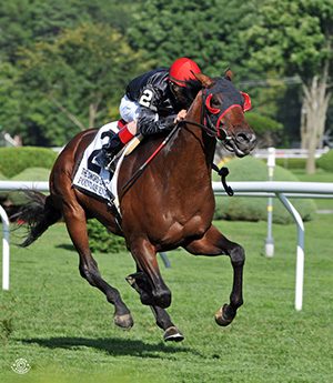 Point Of Entry - GI Sword Dancer Invitational, GI Man O' War, GI Joe Hirsch,GI Kitten's Joy Gulfstream Park Handicap
*photo by Judit Seipert