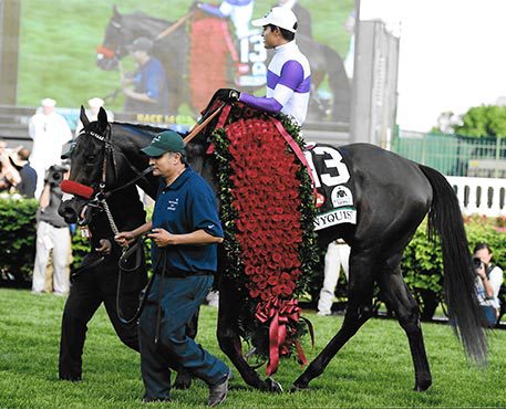 NYQUIST - 2016 Kentucky Derby Winner