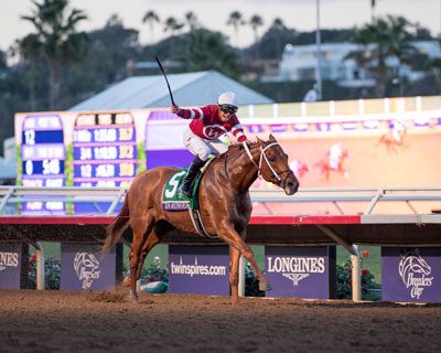 GUN RUNNER - 2017 Horse Of The Year, 2018 Pegasus Stakes Winner, 2017 Breeders Cup Classic Winner  Photo by Z