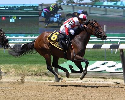 Search Results - G1 Acorn Stakes Winner  *Coglianese  Photos/Susie Raisher