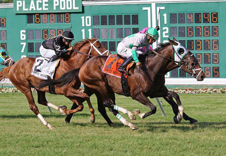 Hunter O'Reily -  GI United Nations Stakes
*photo by Ryan Denver