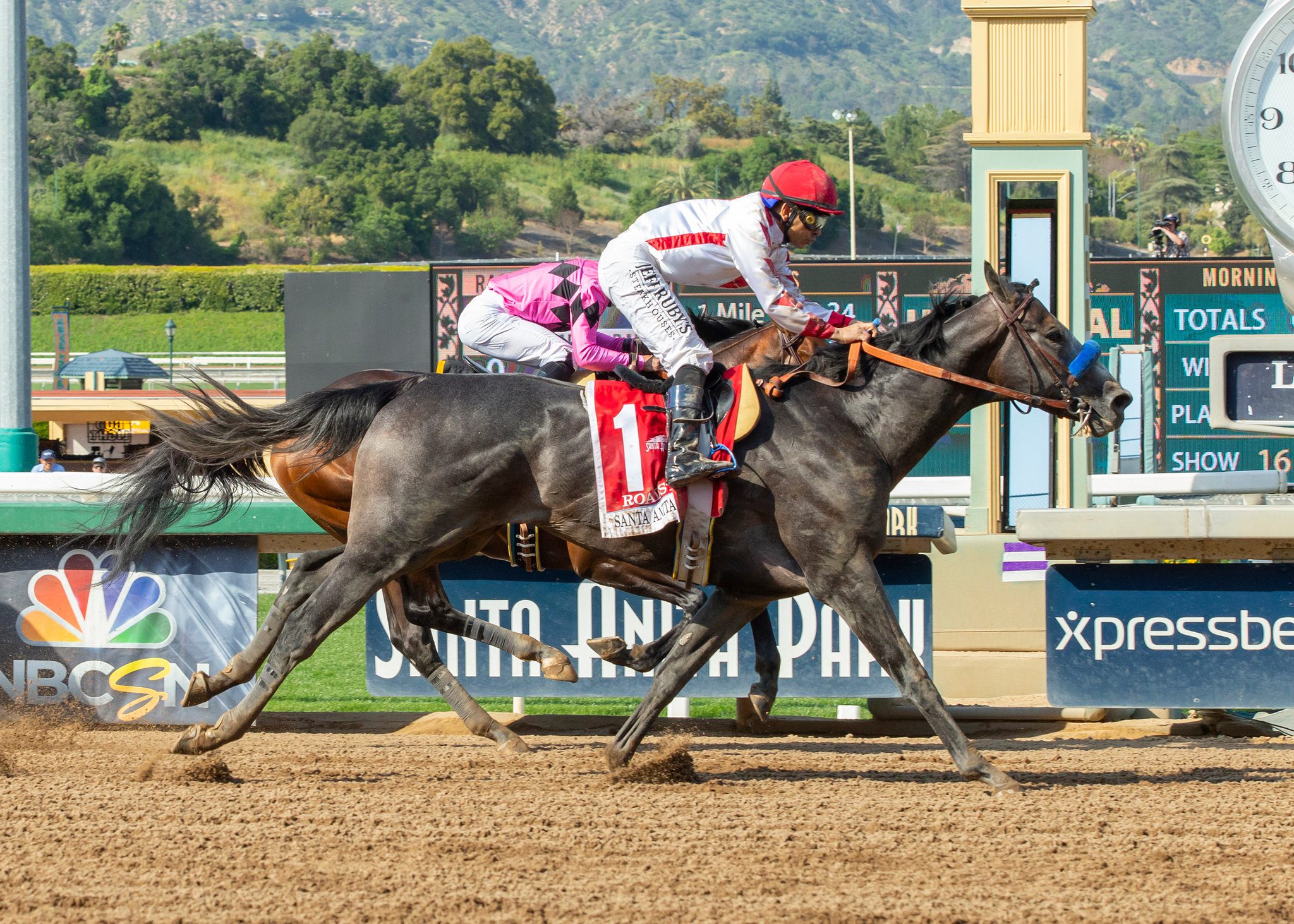 Roadster- GI Santa Anita Derby 
*photo by Benoit Photo